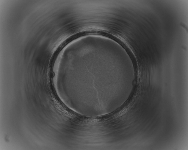 X0000100500783200807031939