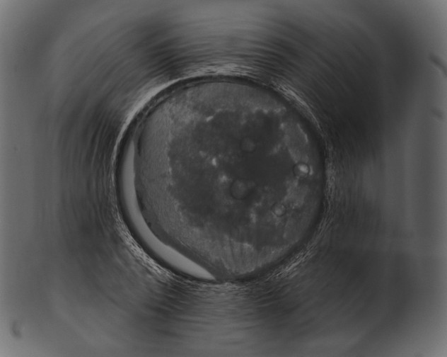 X0000100500784200807031939