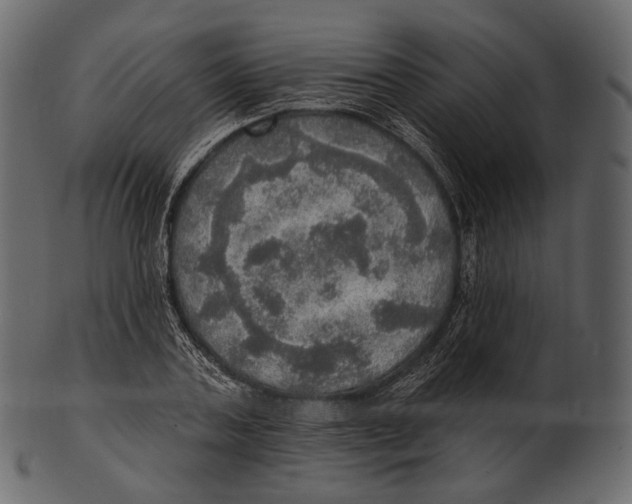 X0000100500787200807031939