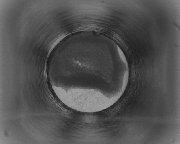 X0000100500788200807031939