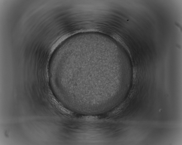 X0000100500789200807031939