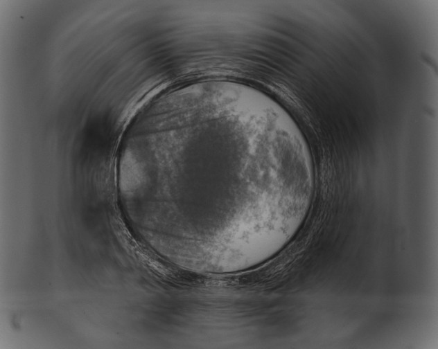 X0000100500790200807031939