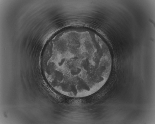 X0000100500791200807031939