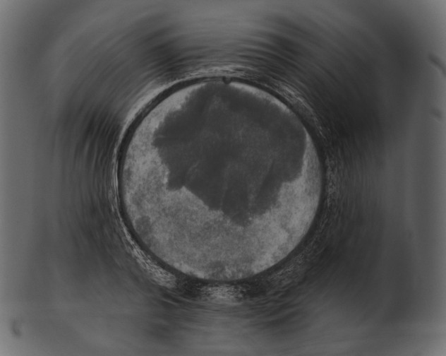 X0000100500792200807031939