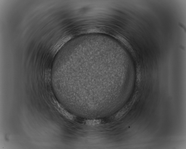 X0000100500793200807031939