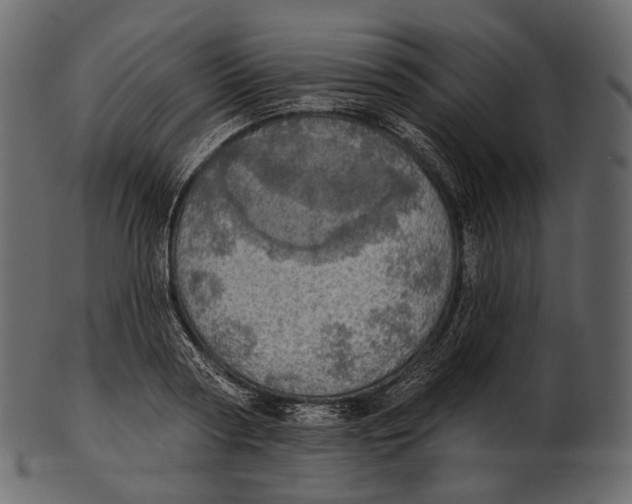 X0000100500794200807031939