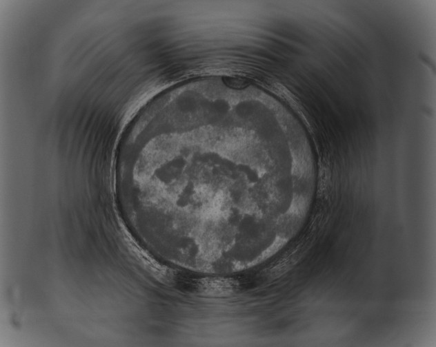 X0000100500795200807031939