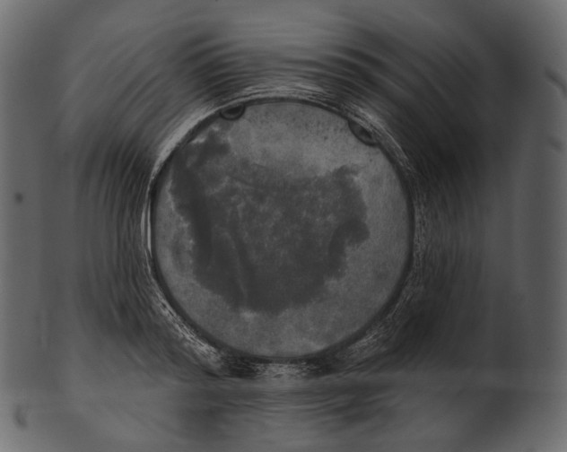 X0000100500796200807031939