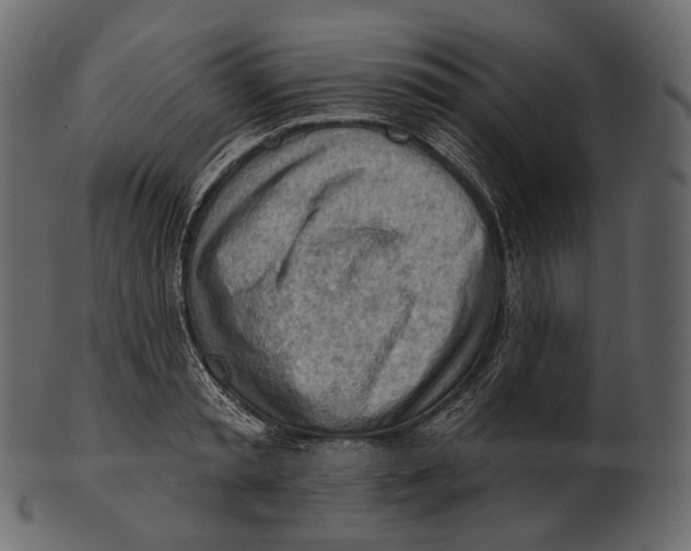 X0000100500797200807031939