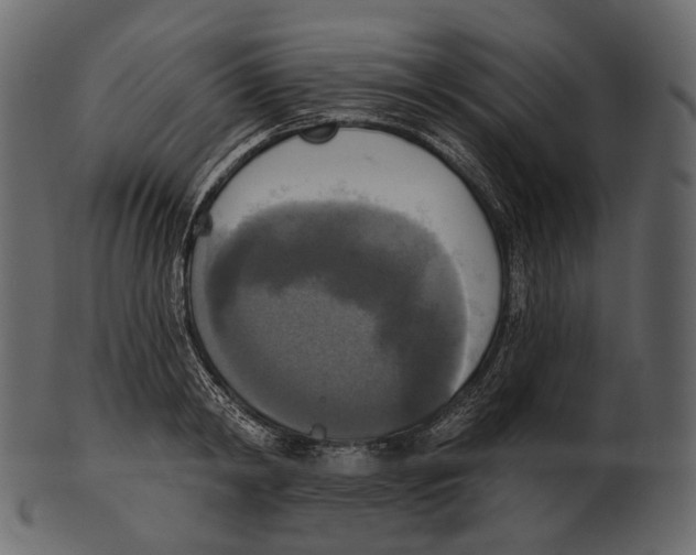 X0000100500798200807031939