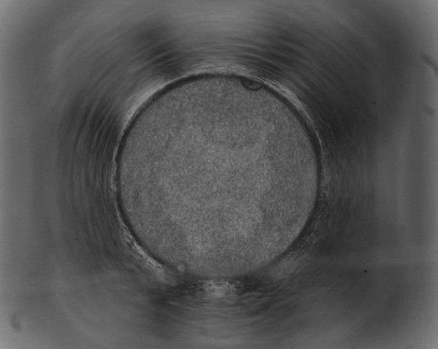 X0000100500799200807031939