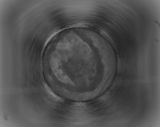 X0000100500800200807031939