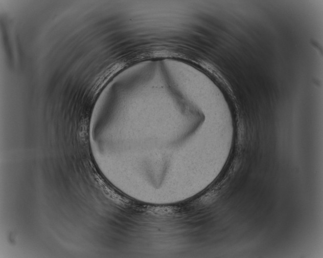 X0000100500801200807031939