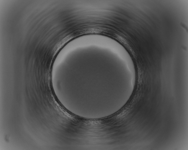 X0000100500802200807031939