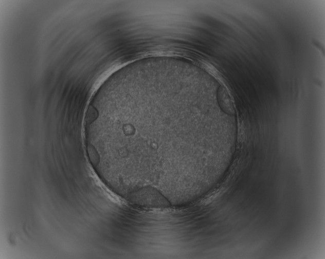 X0000100500803200807031939