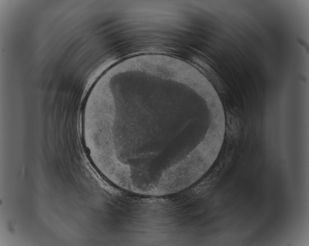 X0000100500804200807031939