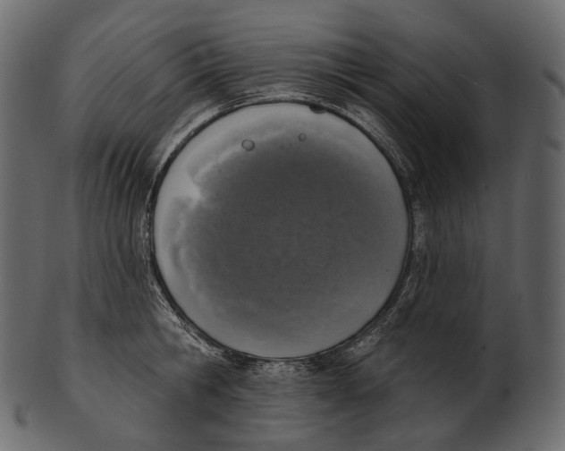 X0000100500806200807031939