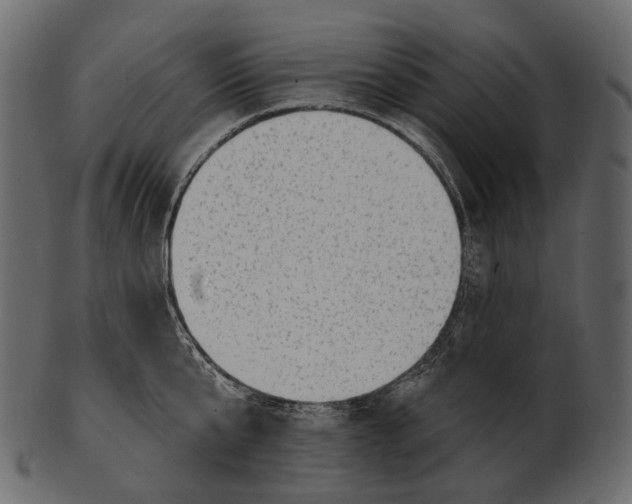 X0000100500807200807031939