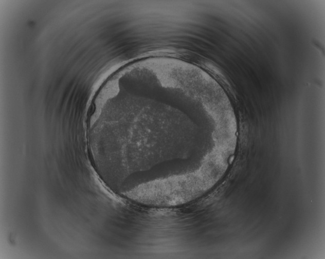 X0000100500808200807031939