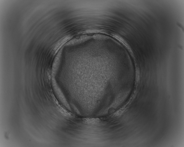 X0000100500809200807031939