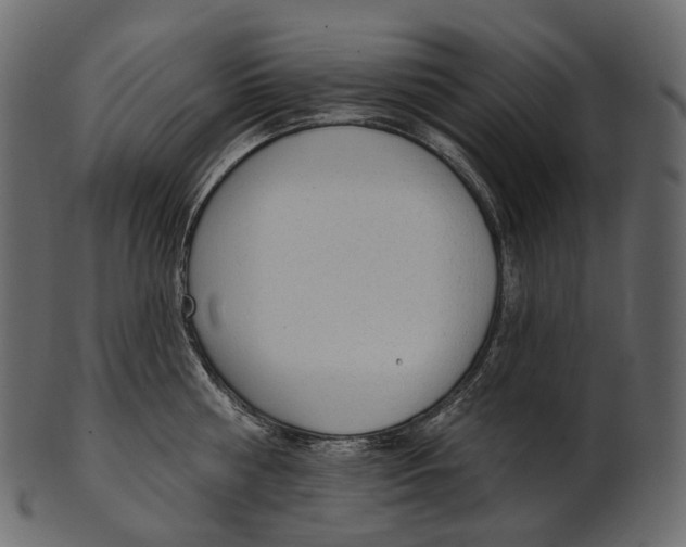 X0000100500810200807031939