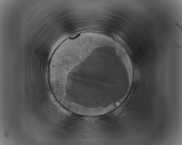 X0000100500812200807031939