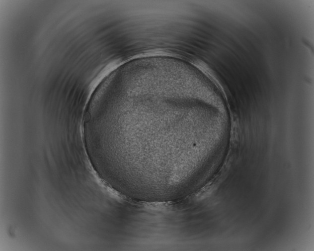 X0000100500813200807031939