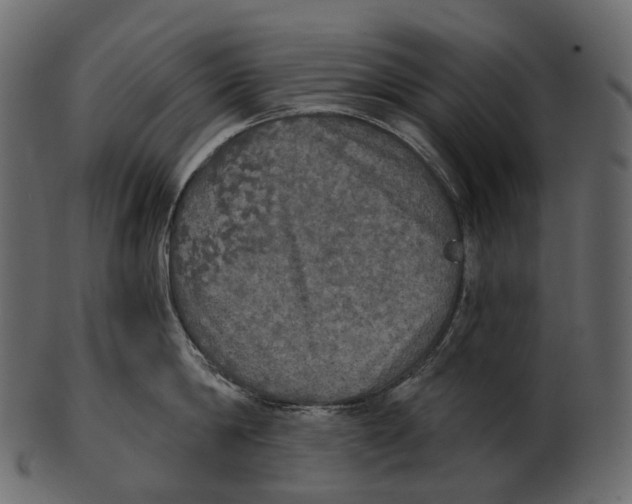 X0000100500814200807031939