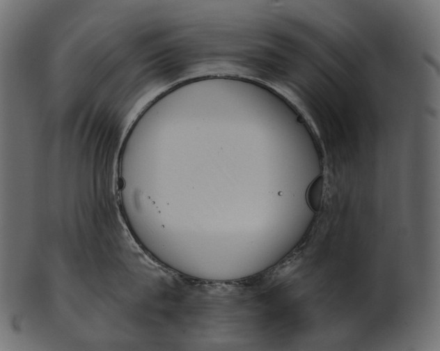 X0000100500815200807031939