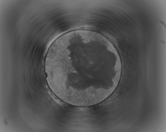 X0000100500816200807031939