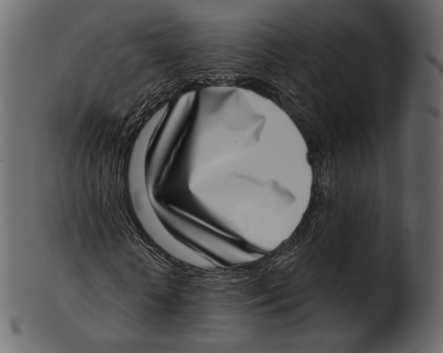 X0000100500818200807031938