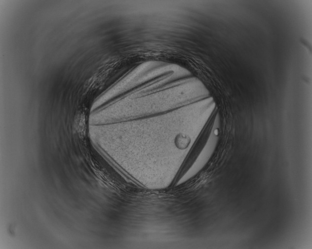 X0000100500820200807031938