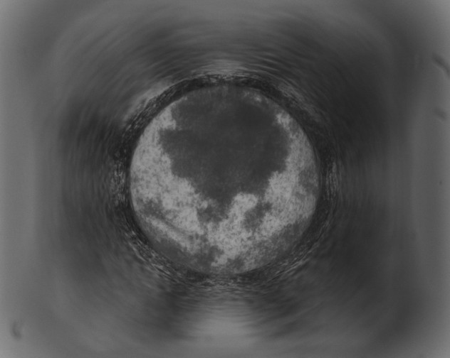 X0000100500822200807031938