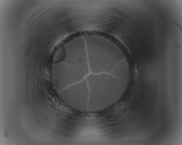 X0000100500823200807031938