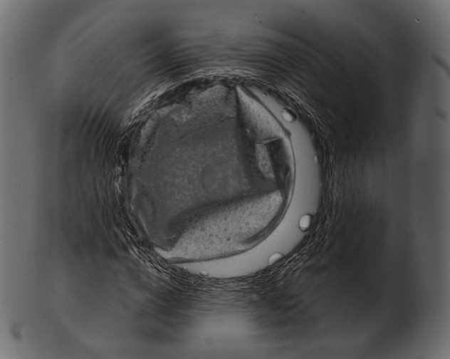 X0000100500824200807031938