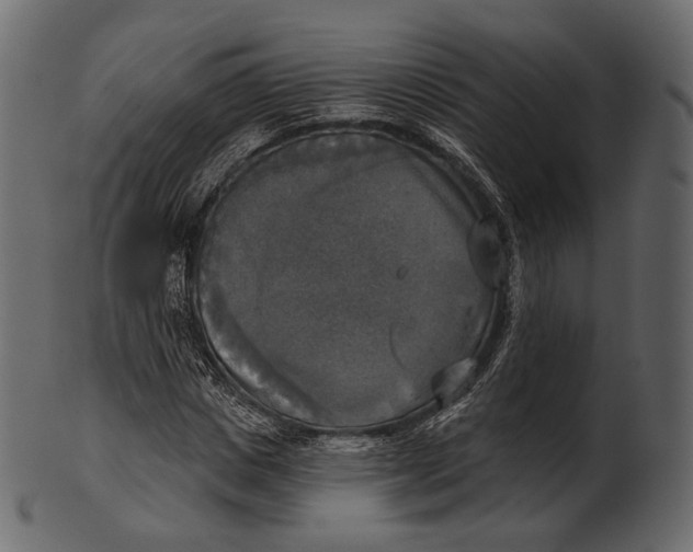 X0000100500825200807031938