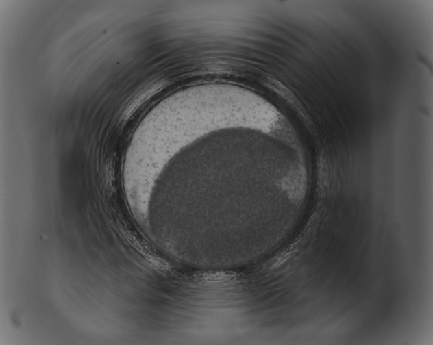 X0000100500826200807031938