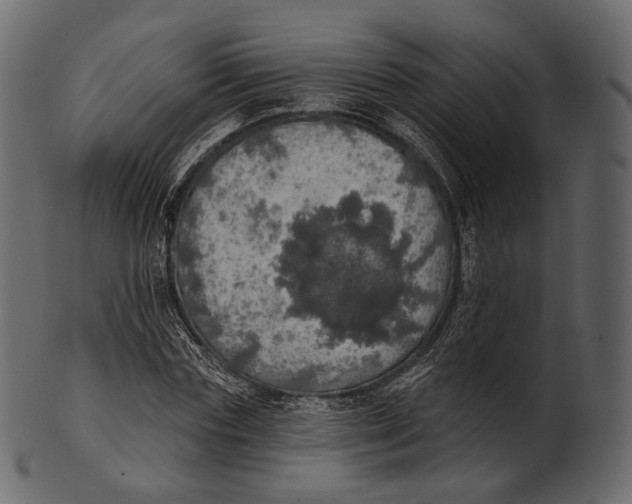 X0000100500827200807031938