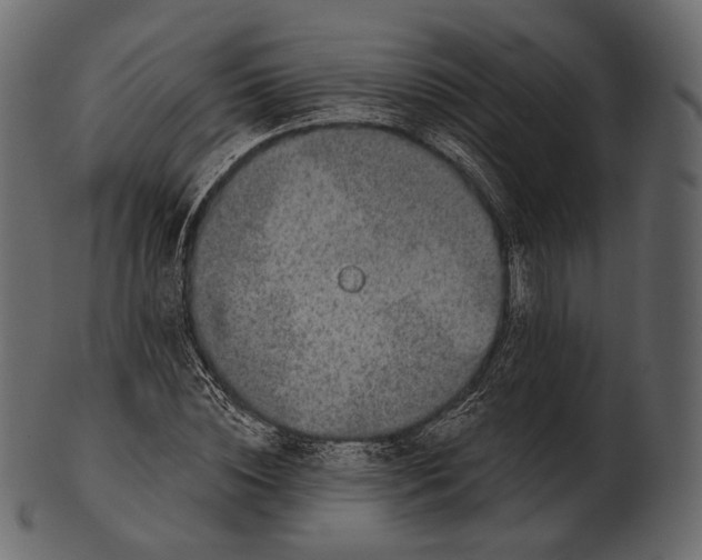 X0000100500828200807031938