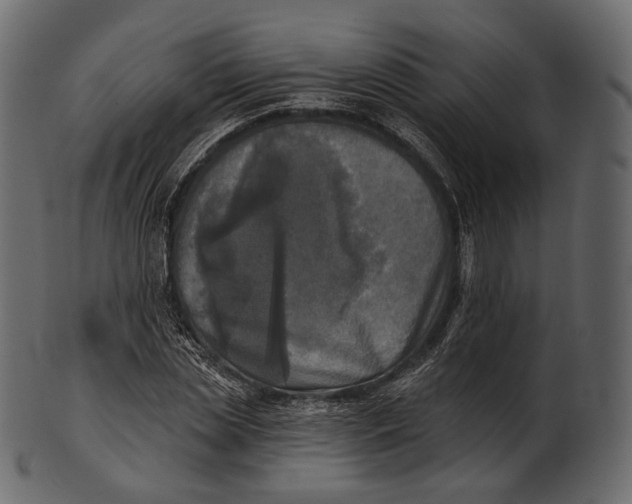 X0000100500829200807031938