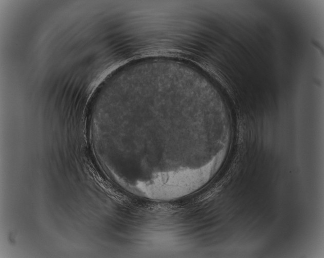 X0000100500830200807031938