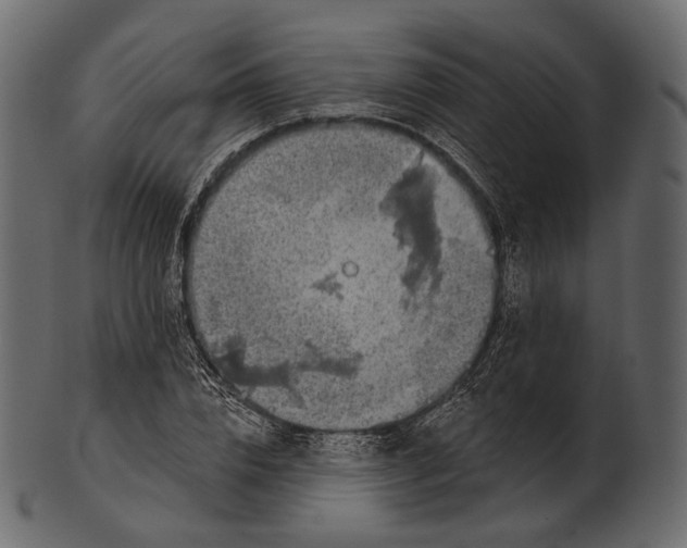 X0000100500832200807031938