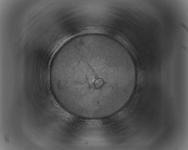 X0000100500836200807031938