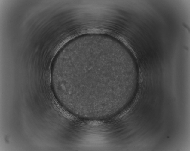 X0000100500837200807031938