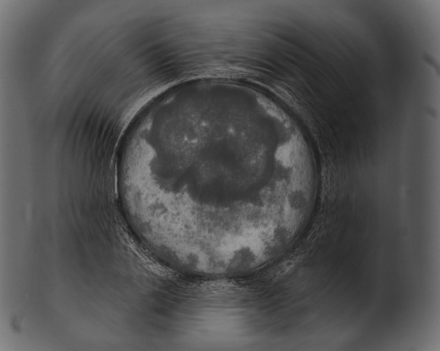 X0000100500838200807031938