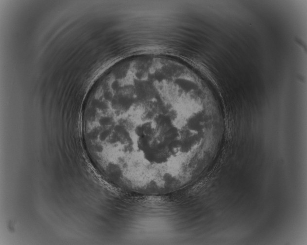 X0000100500839200807031938