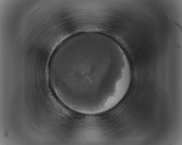 X0000100500840200807031938