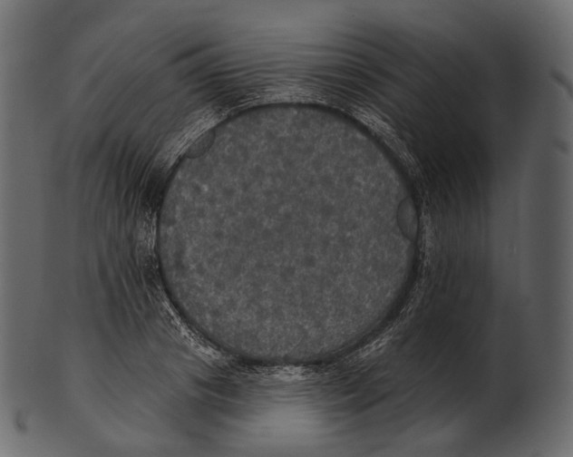 X0000100500841200807031938