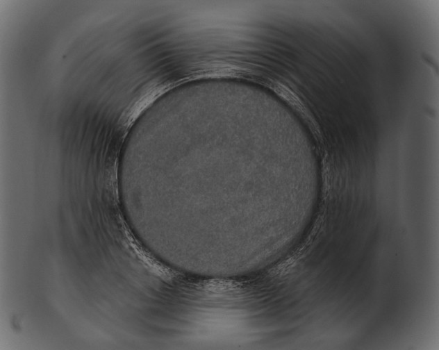 X0000100500842200807031938