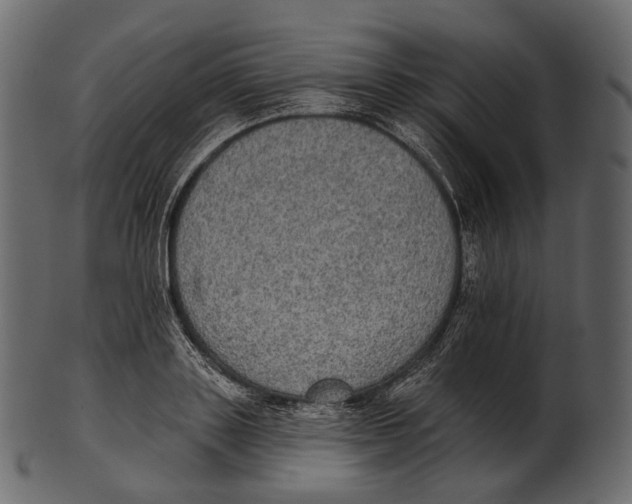 X0000100500843200807031939